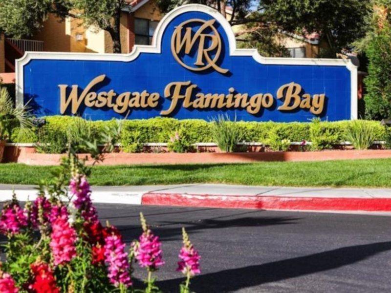 Westgate Flamingo Bay Resort Лас Вегас Екстериор снимка